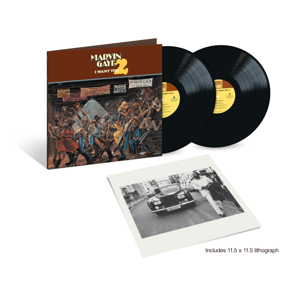 レア音源集2LP 初バイナル化 Marvin Gaye I Want You 2 Marvin Gaye - I Want You 2: Vinyl 2LP - Island Records