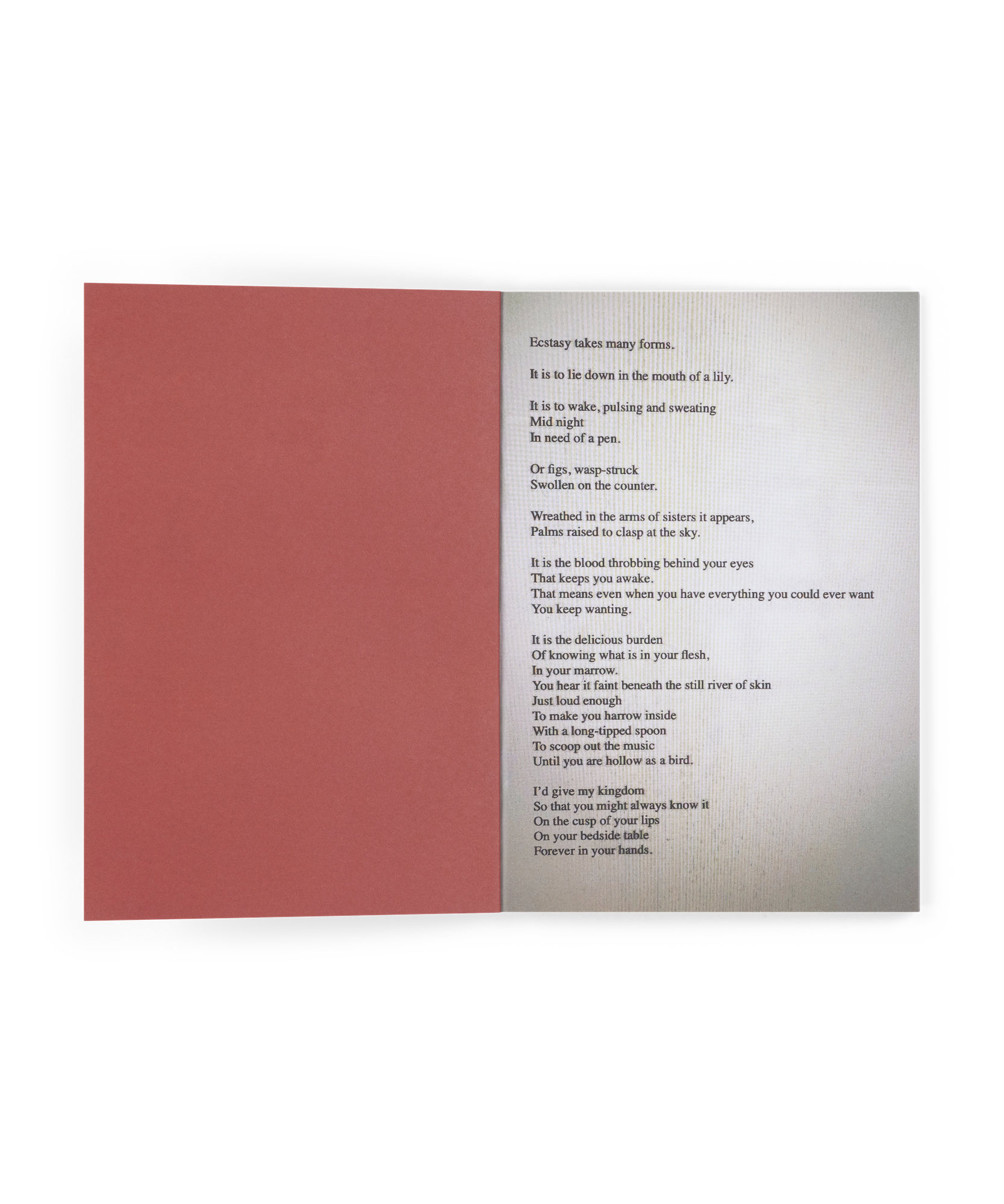 The Last Dinner Party - Prelude To Ecstasy: CD Zine