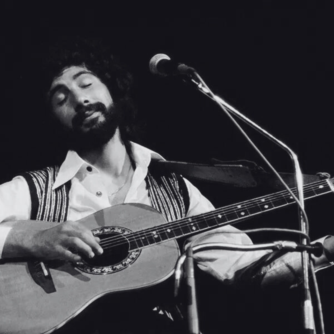 Cat Stevens