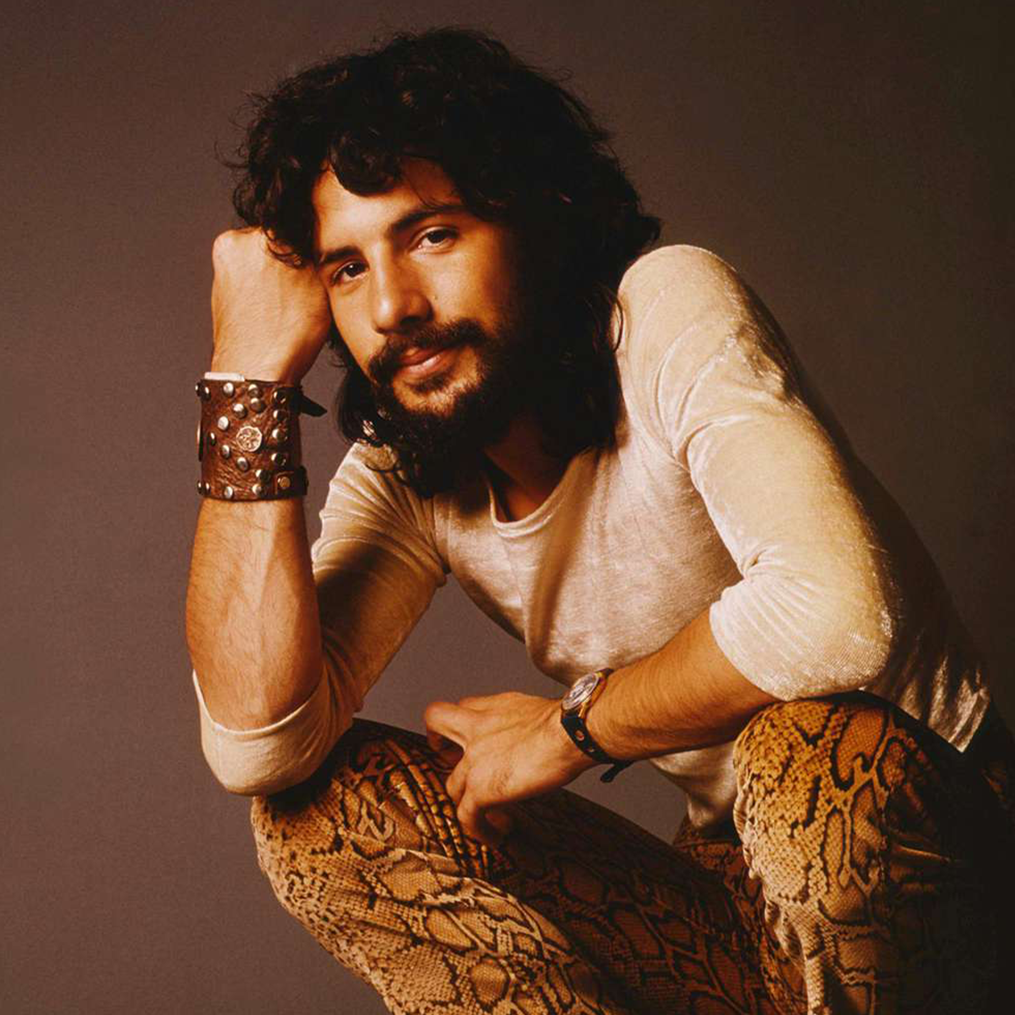 Cat Stevens