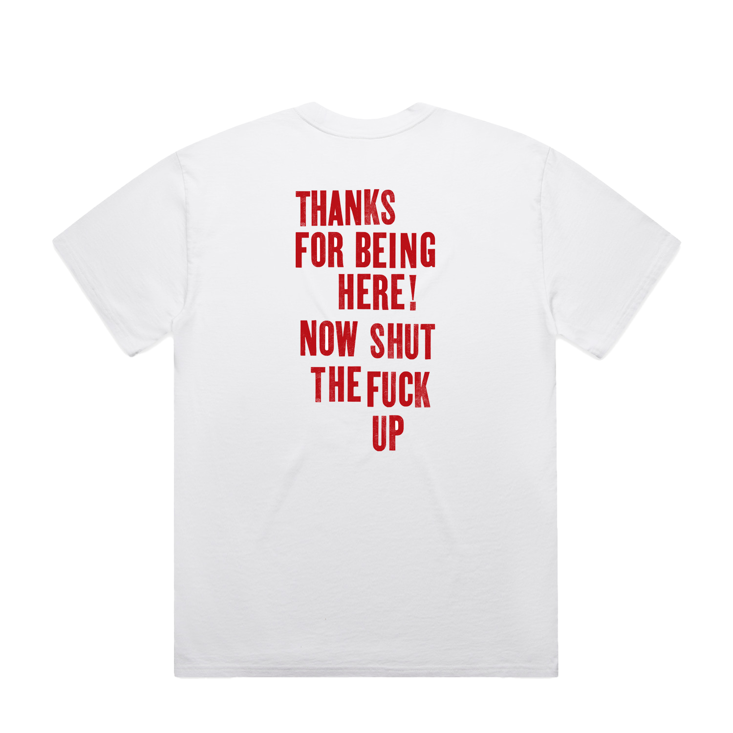 Mumford & Sons  - White Thank You For Being Here T-shirt