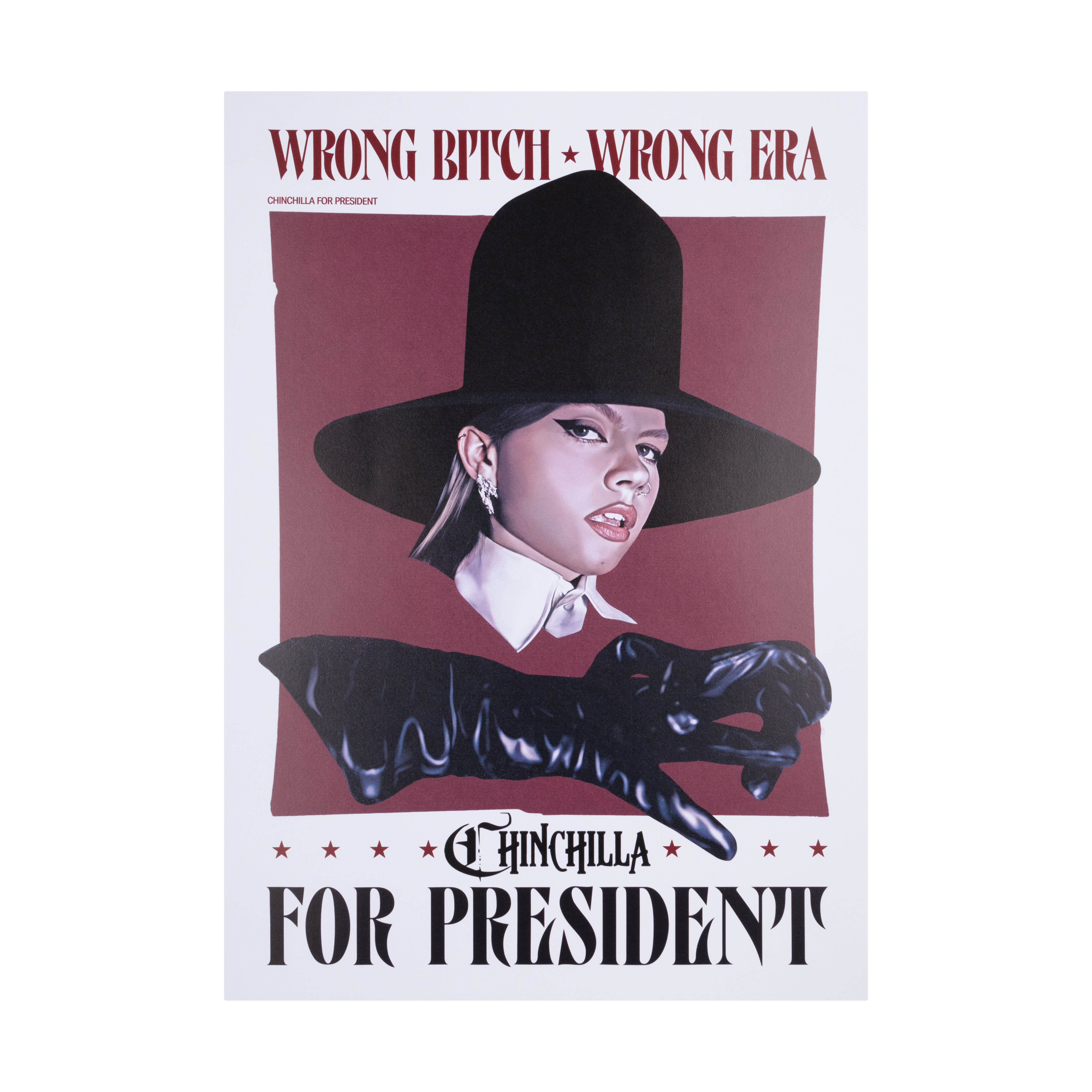 Chinchilla - CHINCHILLA FOR PRESIDENT POSTER