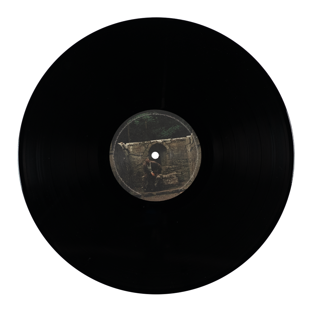 Dermot Kennedy - The Weight of the Woods: Recycled Black LP