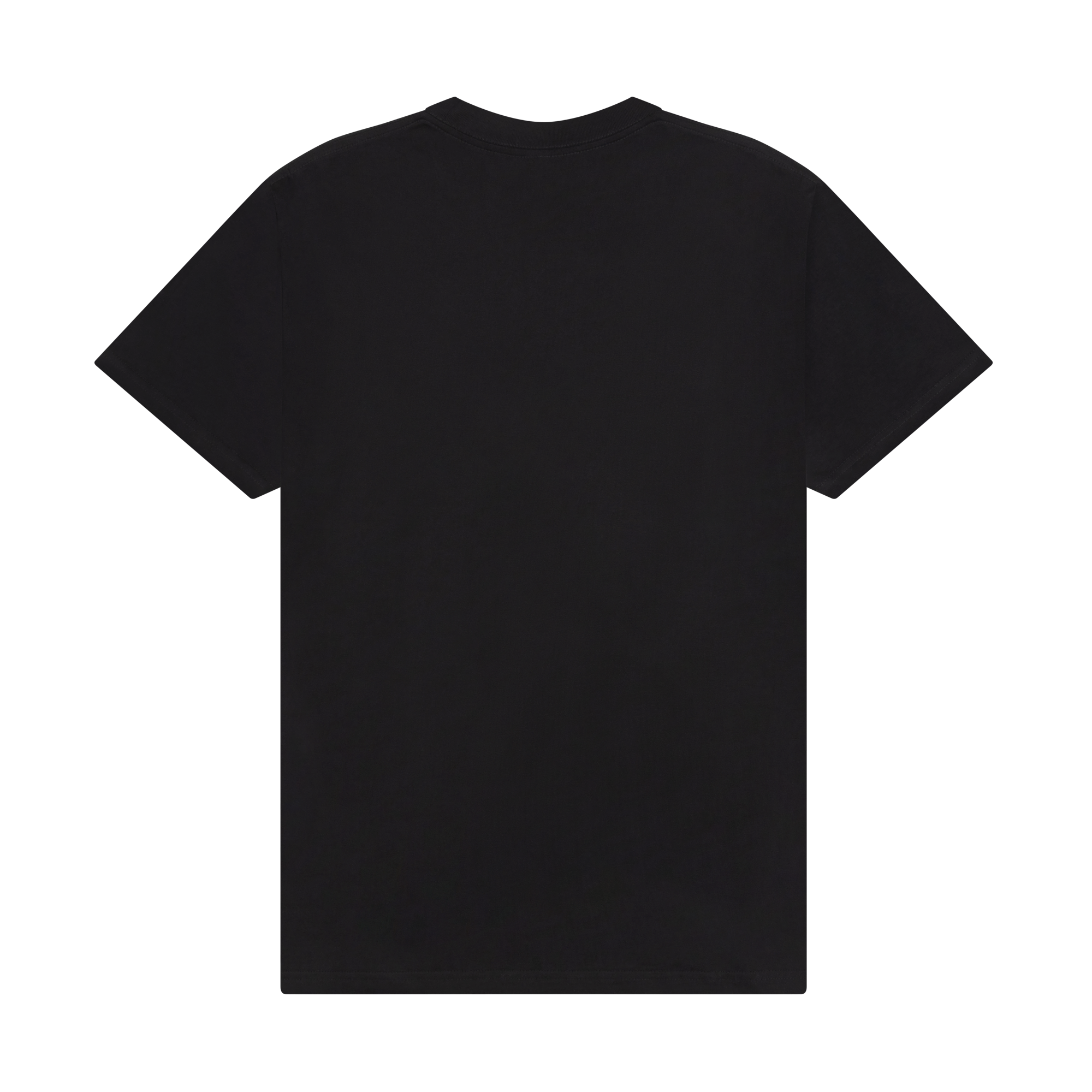Mumford & Sons  - Black Embroidered Wings T-Shirt