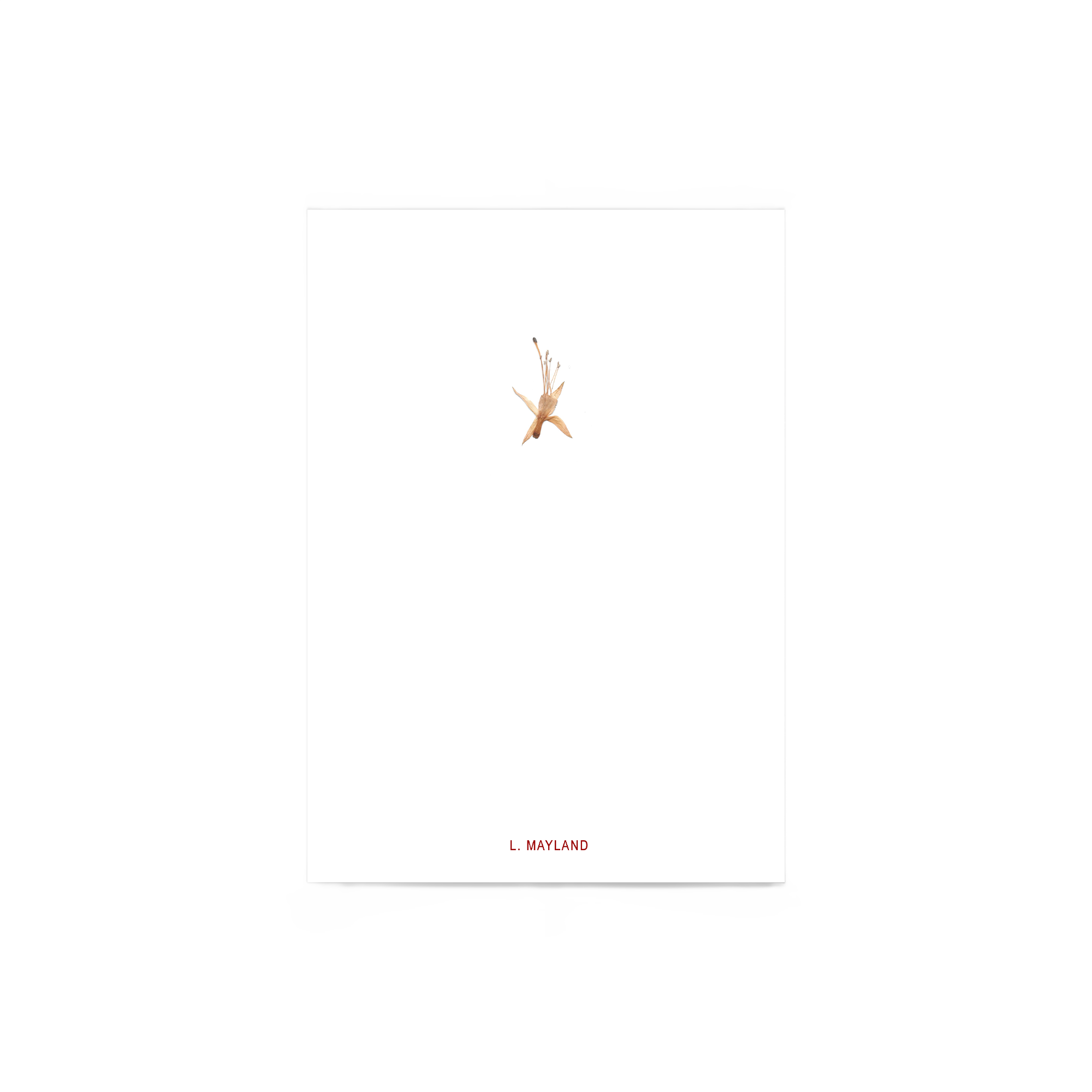 L.Mayland - The Slow Fire Of Sleep - Lyric Zine