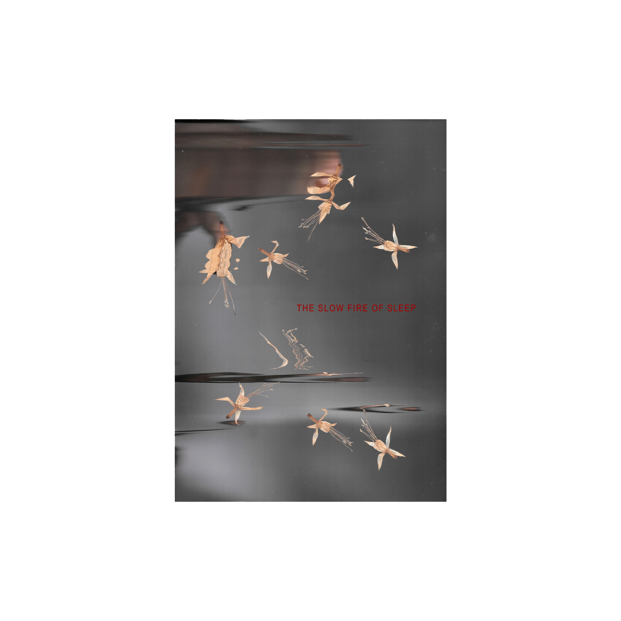 L.Mayland - The Slow Fire Of Sleep - Lyric Zine